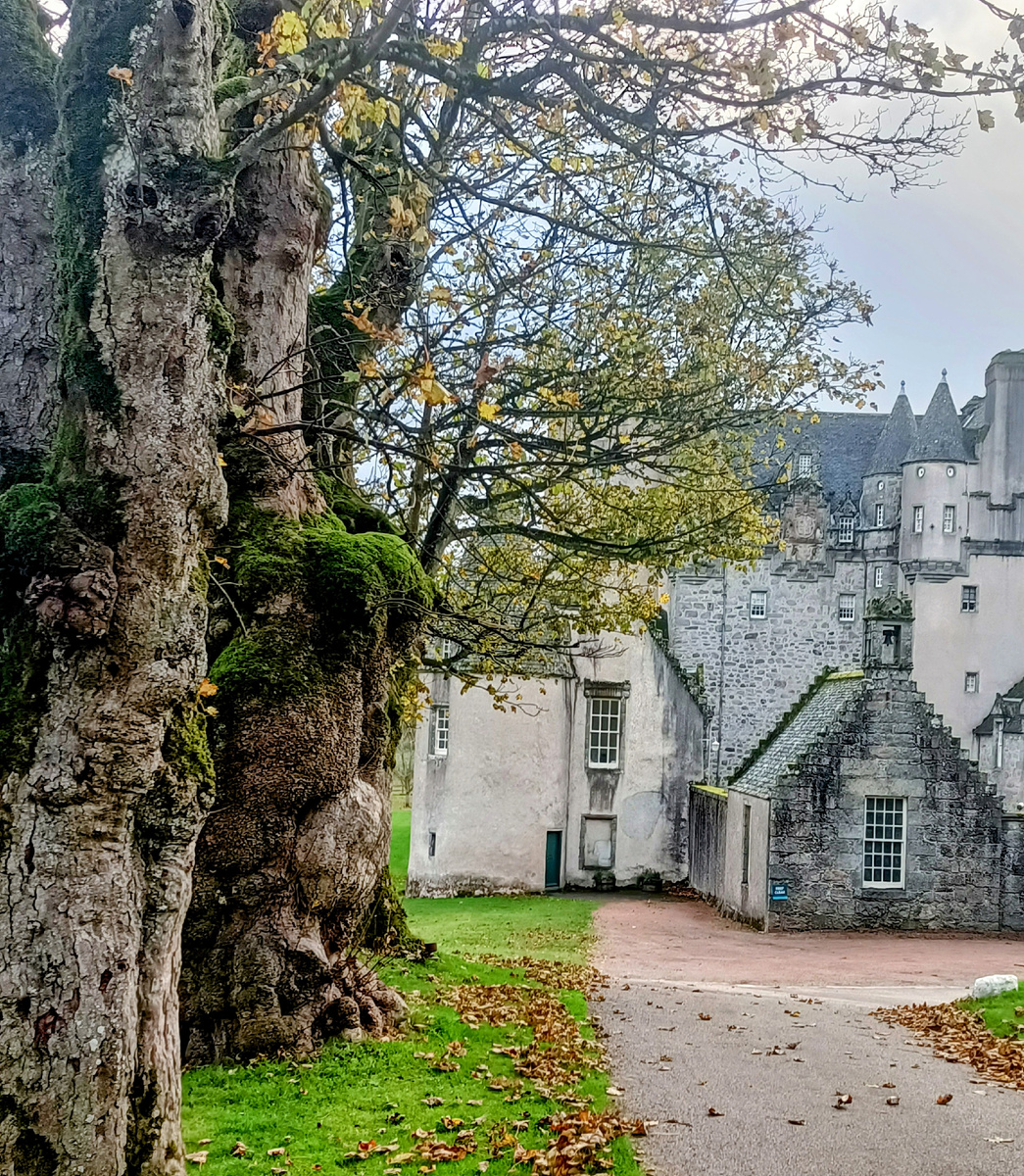 Замок Fraser. Шотландия. Фото автора 