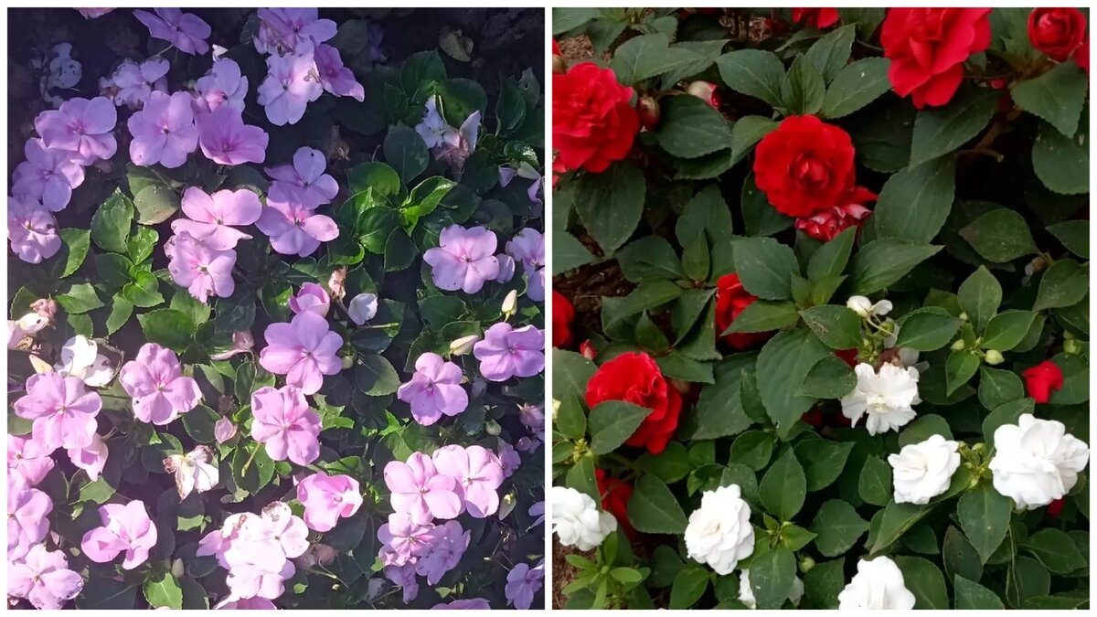     Источник: udm-info.ru