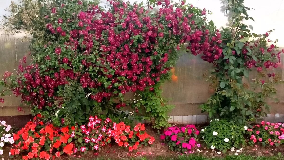     Автор: Нина Соловьева Источник: udm-info.ru