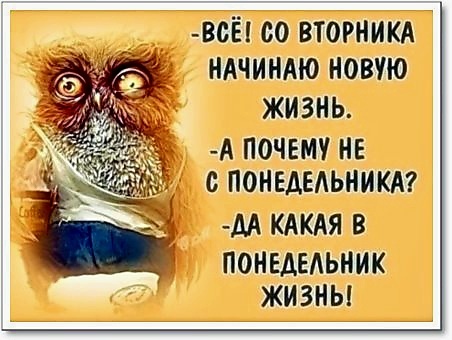 Фото из открытых источников в интернете