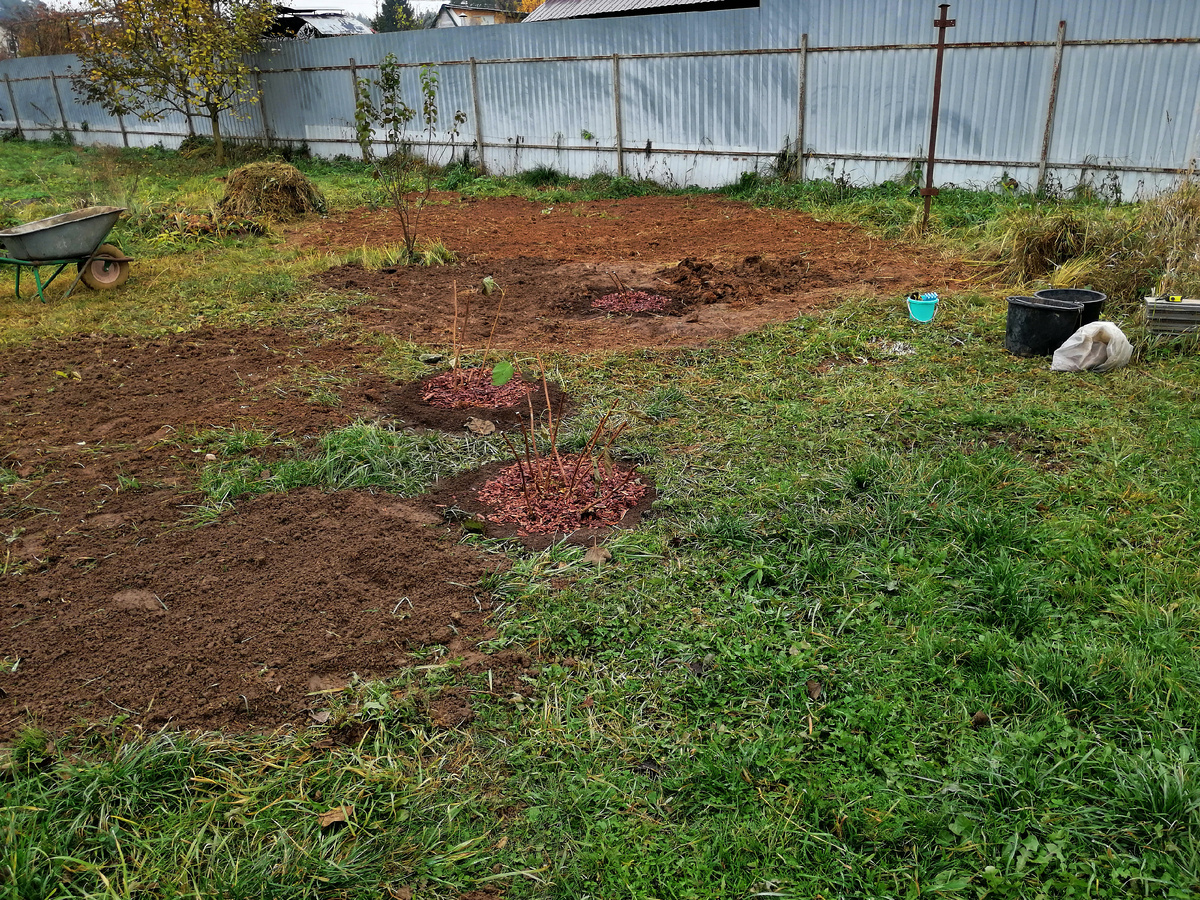 Две недели назад 