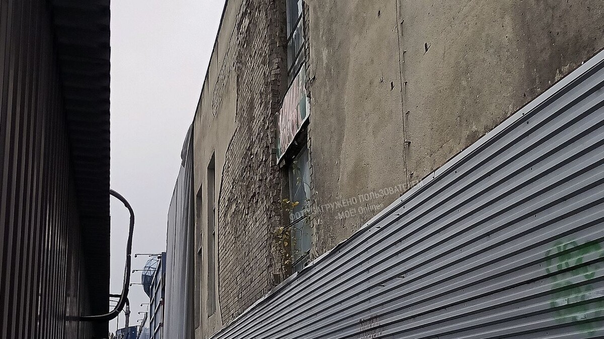    В заколоченном окне ДК выросло дерево. Фото: читатель "МОЁ!"