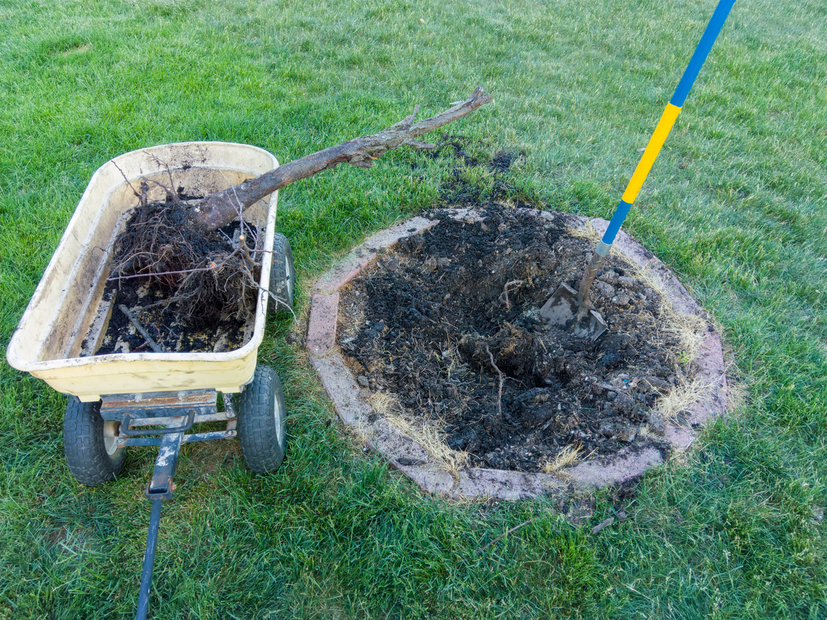    Небольшой пень можно выкопать