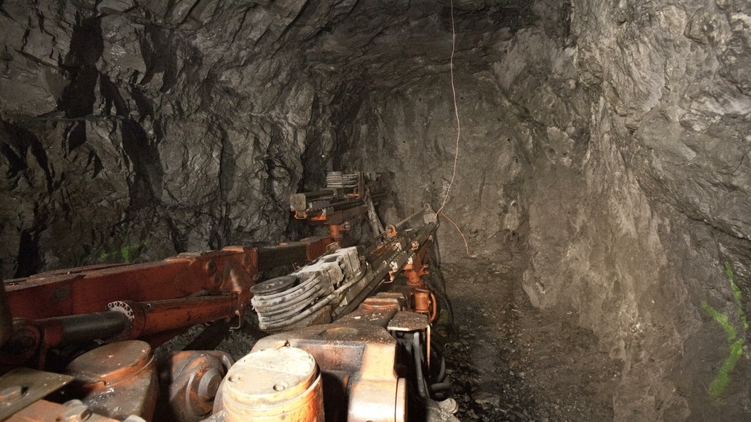    ФОТО: Serguei Fomine/Globallookpress