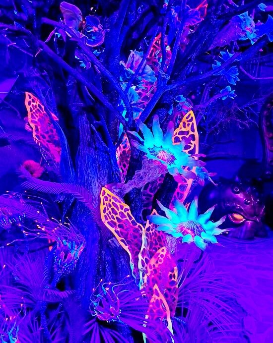 В арт-пространстве "Тайны морских глубин /фото из личного архива, 2023/