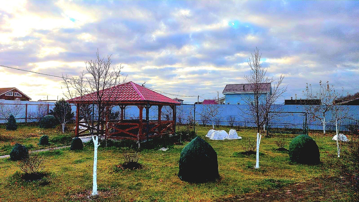 Сад в пасмурный ноябрьский день