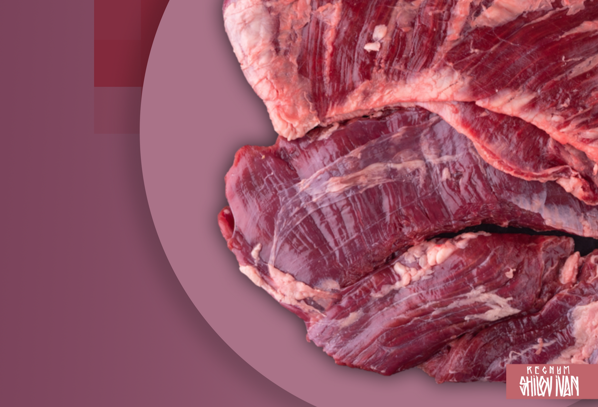     / Источник: Иван Шилов © ИА Регнум