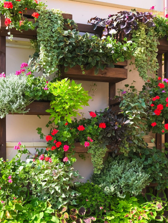 Домашний огород круглый год