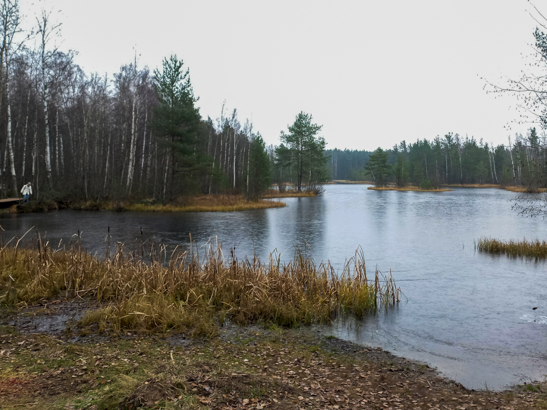 Фото: eco-trails.ru