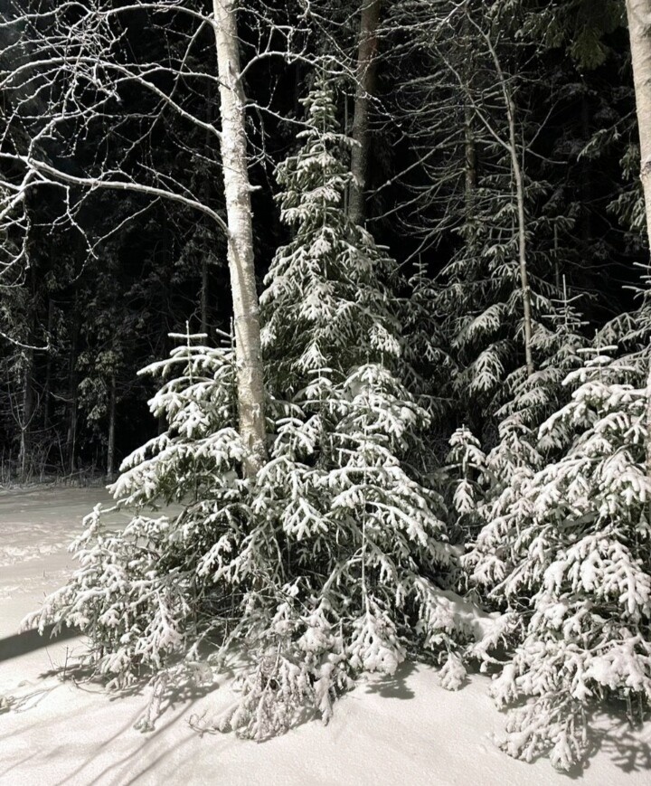 Вот такая зимняя сказка у нас