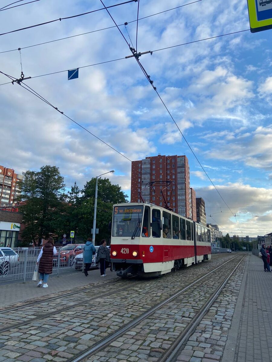 Общественный транспорт Калининграда