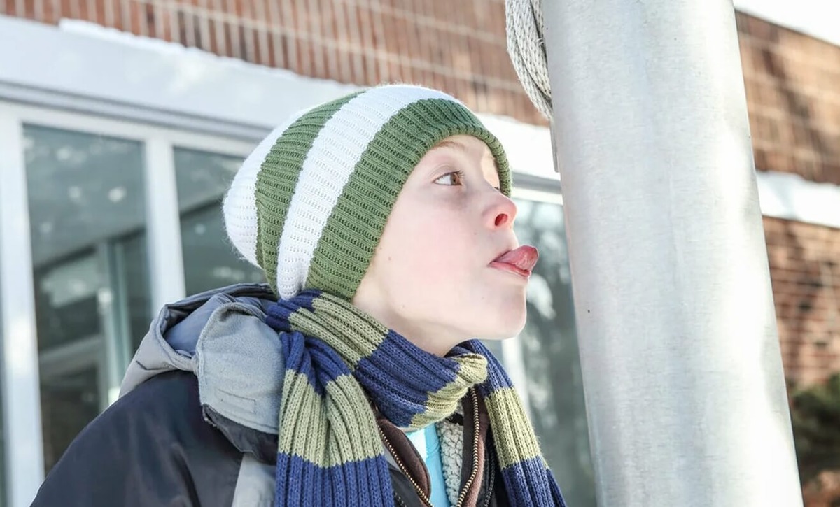    Между языком и металлом образуется лед, который действует как природный клей. Источник изображения: goodhouse.ru