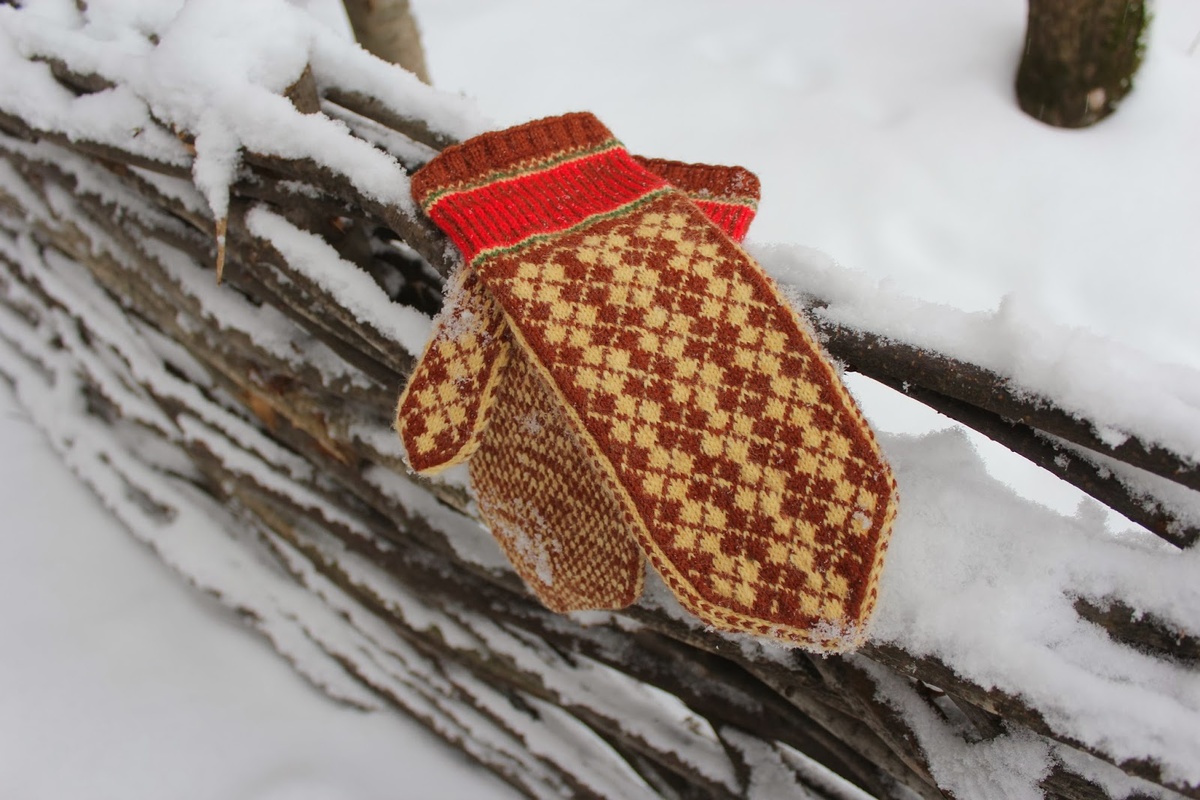 фото автора.