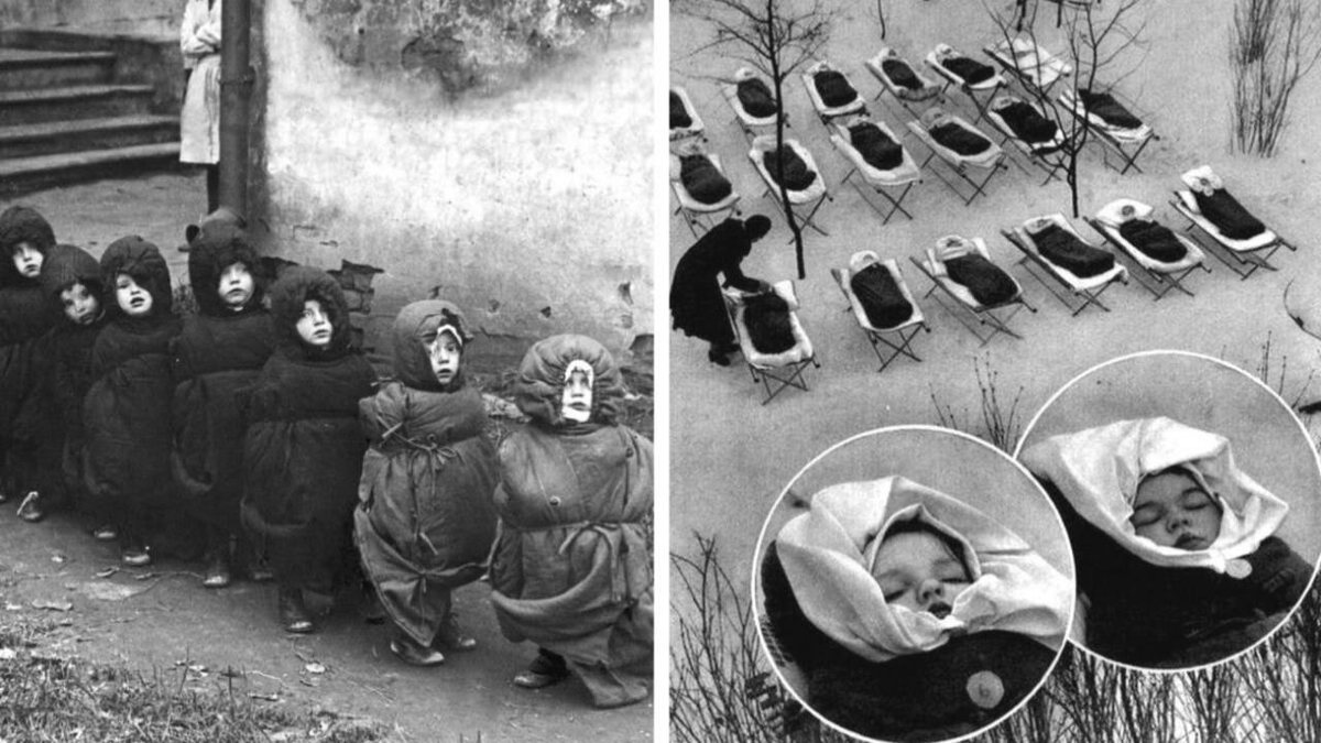 Источник Яндекс Картинки.