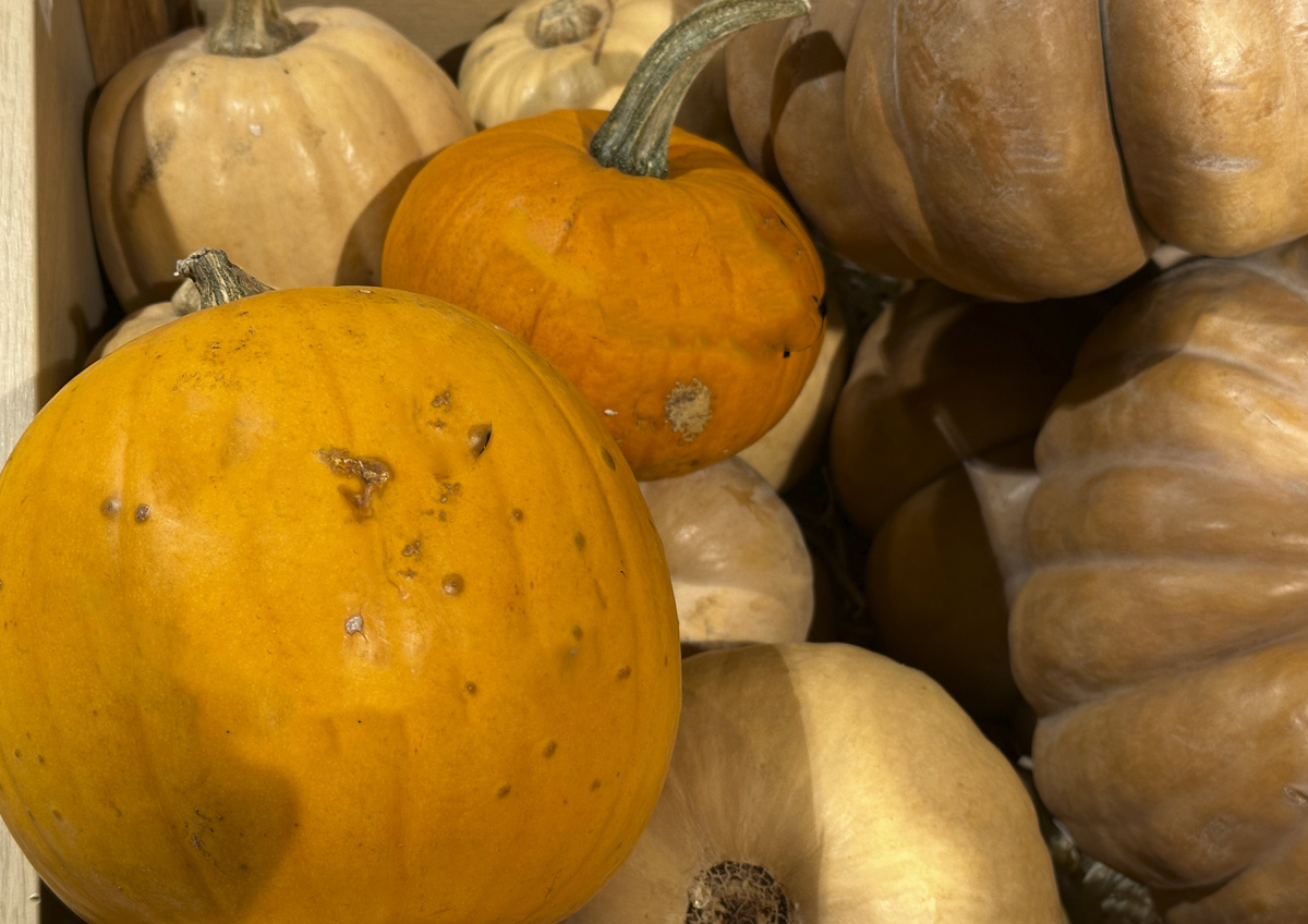    Россиянам назвали полезные осенние продукты