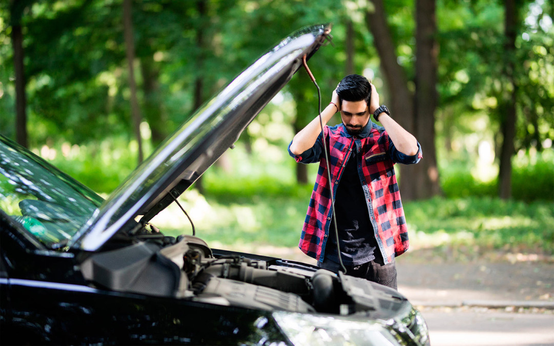 Фото: Shutterstock