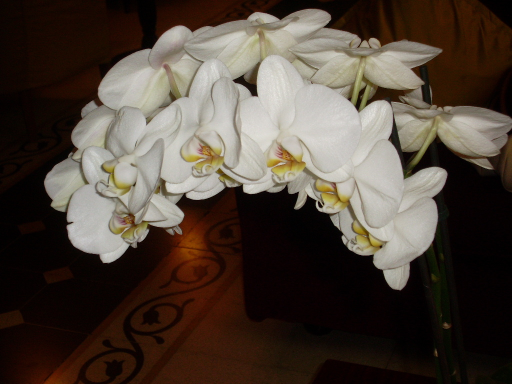 Фото автора, которое нникак не отражает сути статьи 