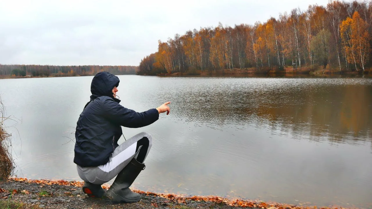 Фото с сайта: https://avatars.mds.yandex.net