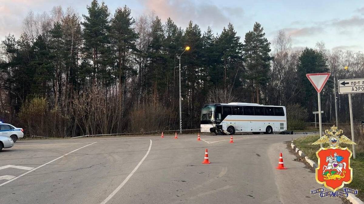    Фото: Telegram / ГУ МВД России по Московской области