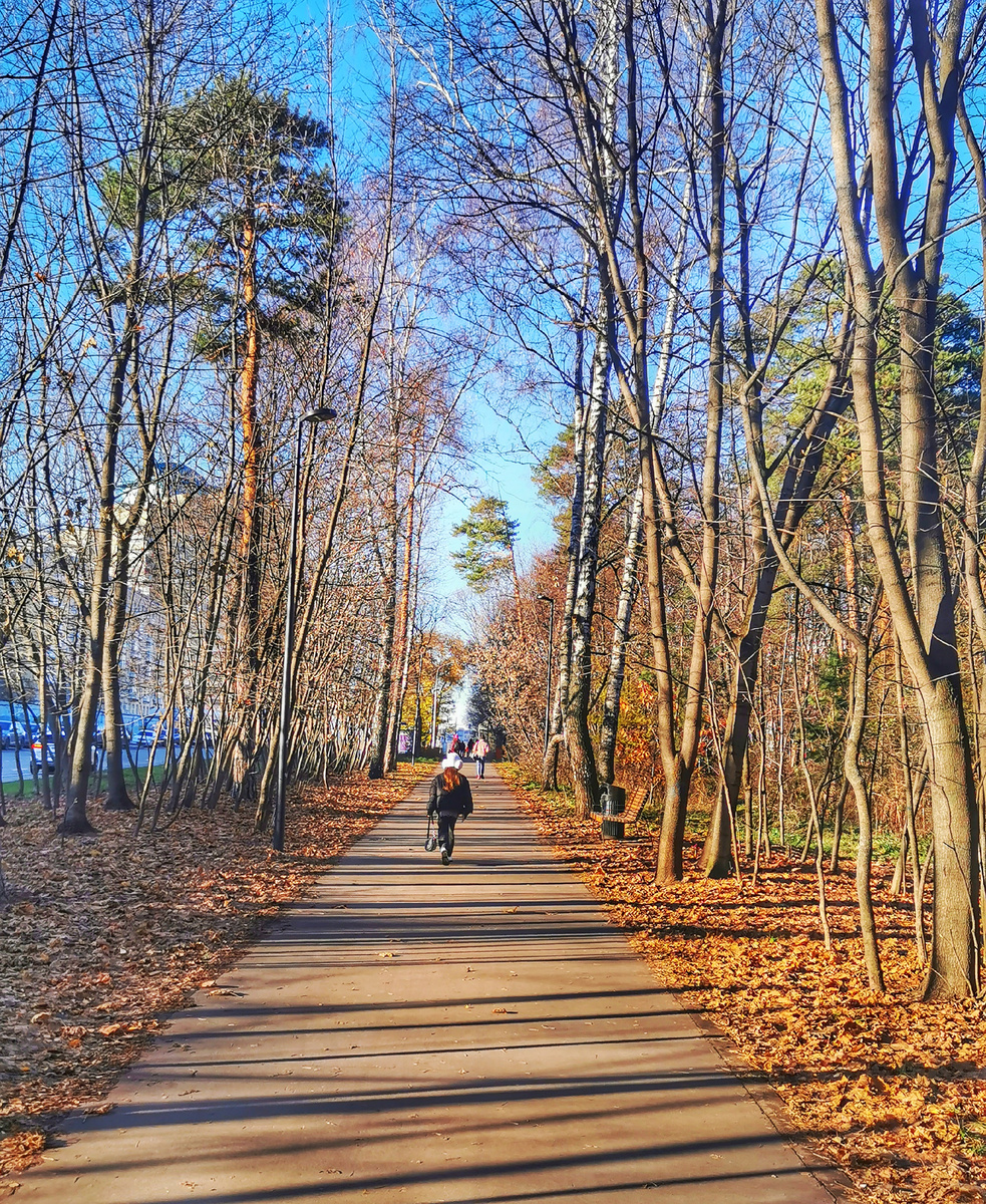 Дорожка вдоль улицы Маршала Василевского. Слева виднеется город.