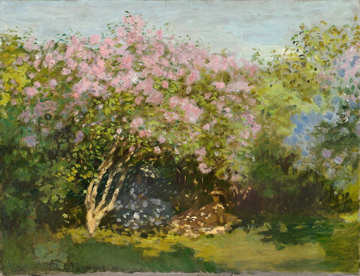 Сирень на солнце