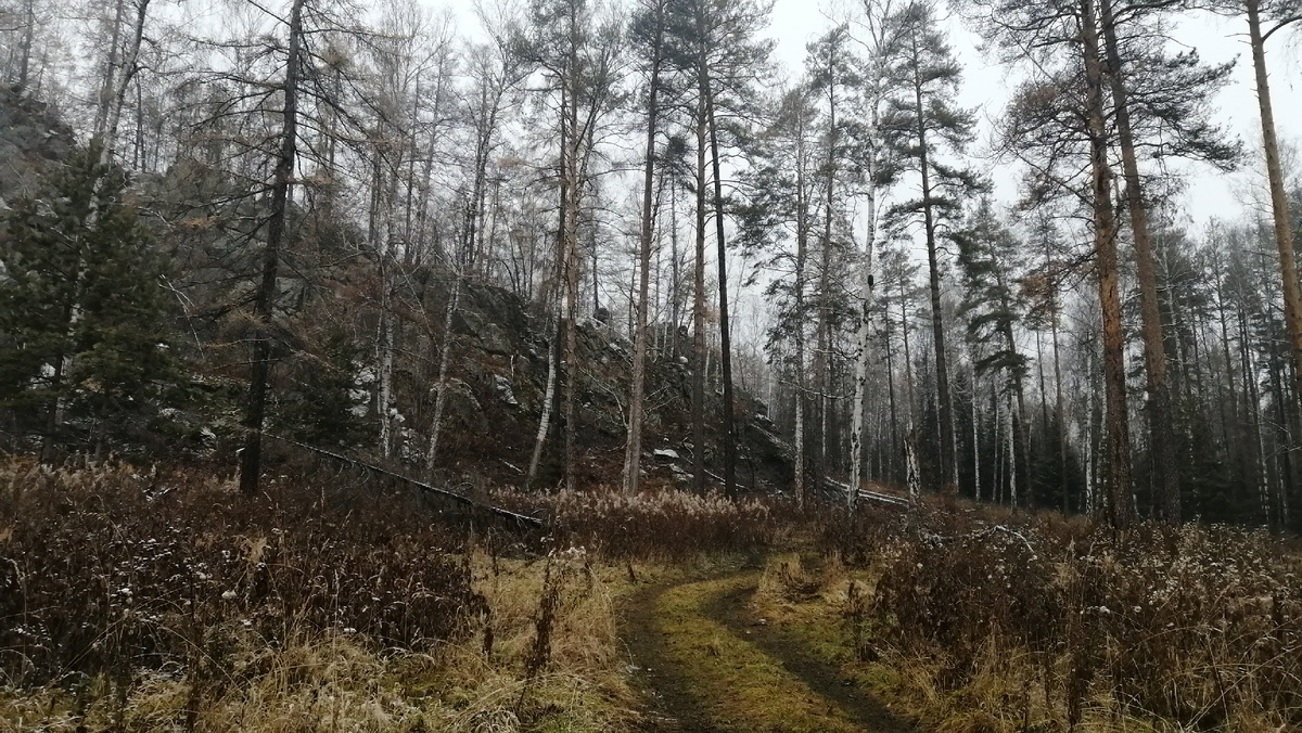 Гора Каменная 1-ая