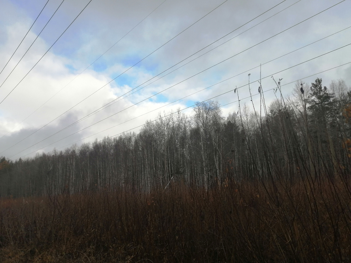 Высоковольтная дорожка на гору