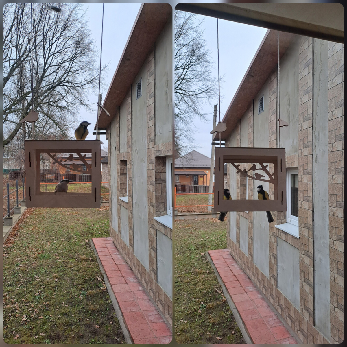 Фото из личного архива. Чем кормить птиц зимой