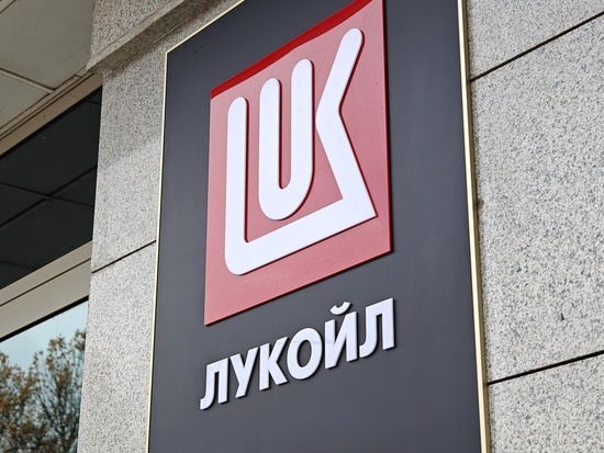    Фото: Юрий Серебренников/BFM Кубань