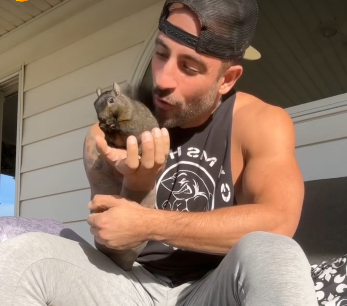 Кадры из аккаунта peanut the squirrel 