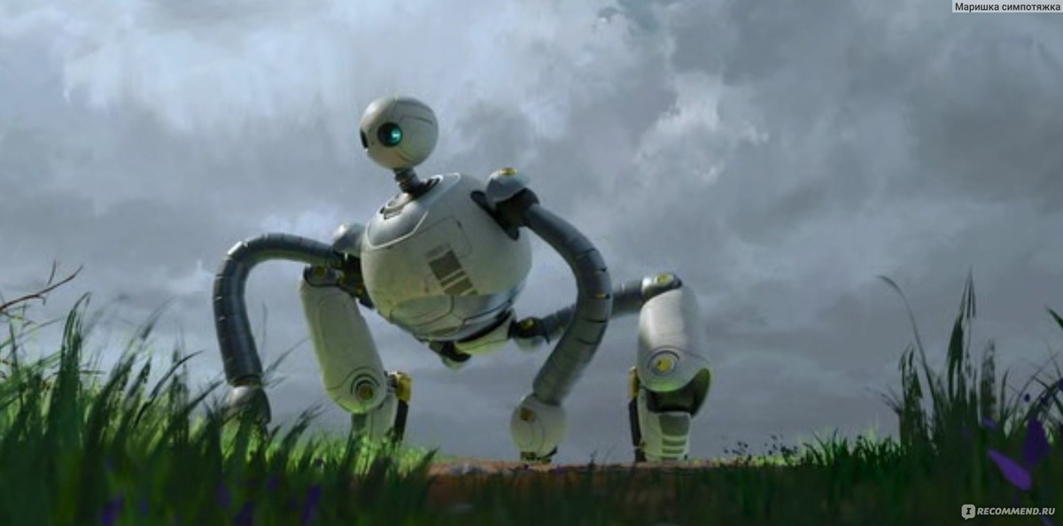 кадр из мультфильма "Дикий робот"