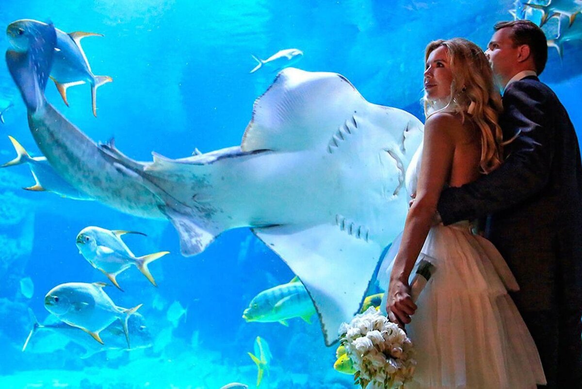    Так свадьбы проходили у аквариума. Внутри будет не менее живописно. mos.ru