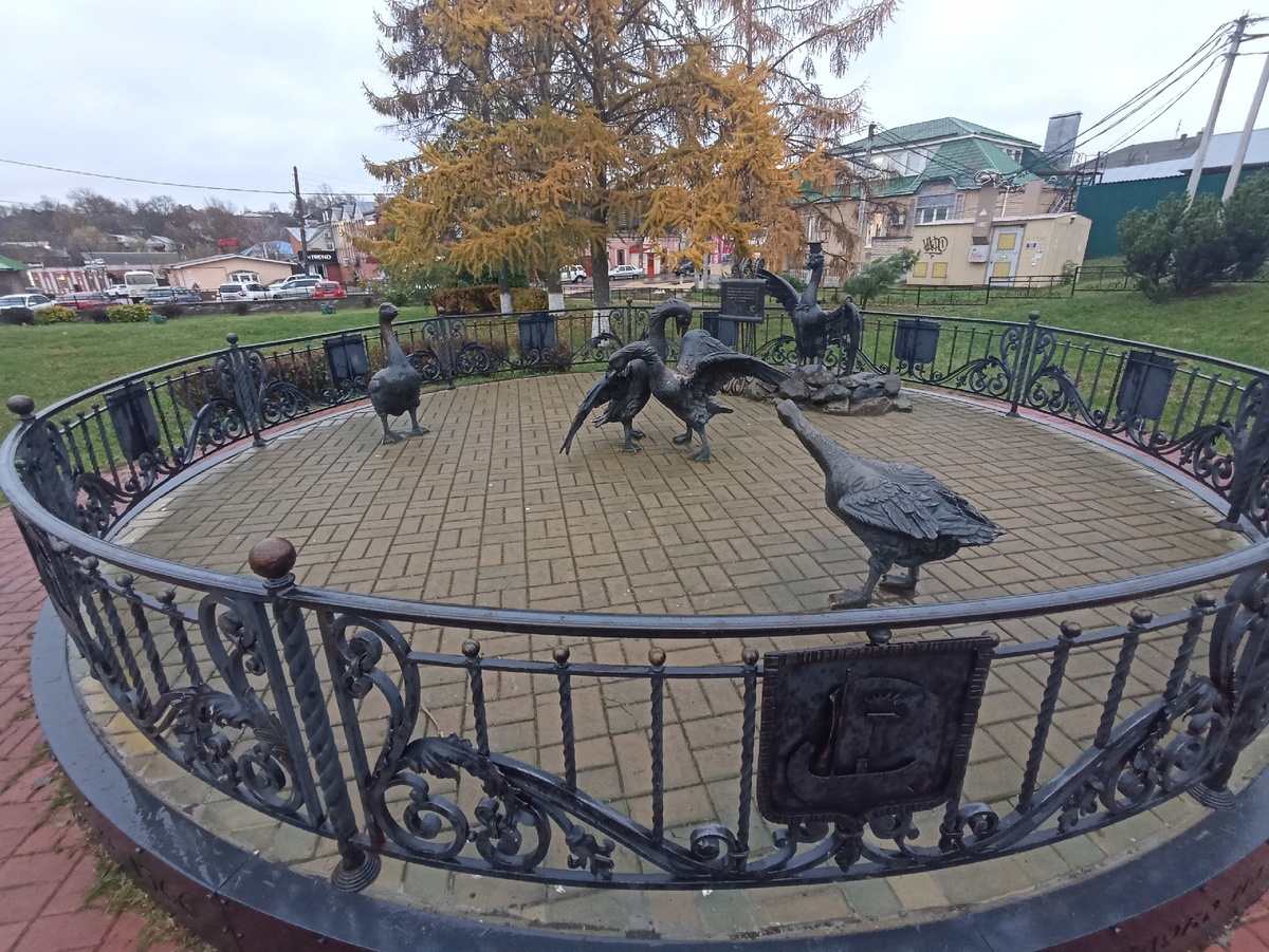 гусиные бои