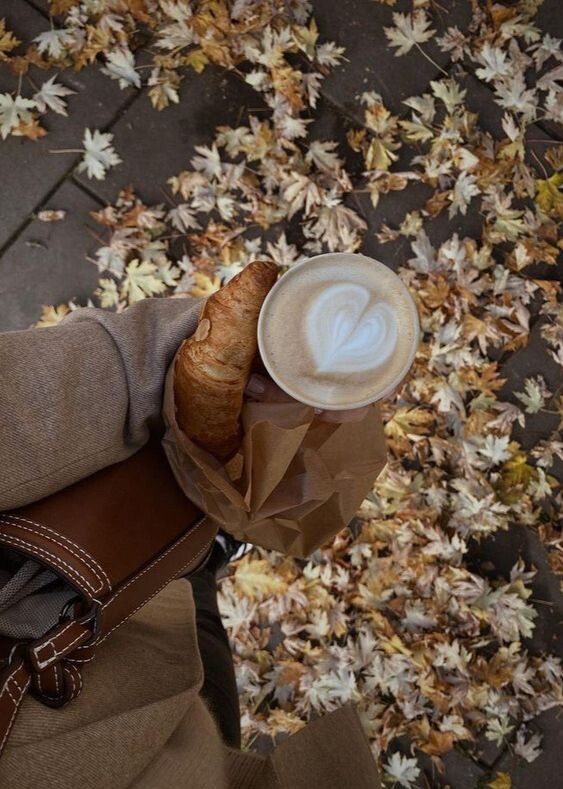 Осенние прогулки не только приятные, но и полезные