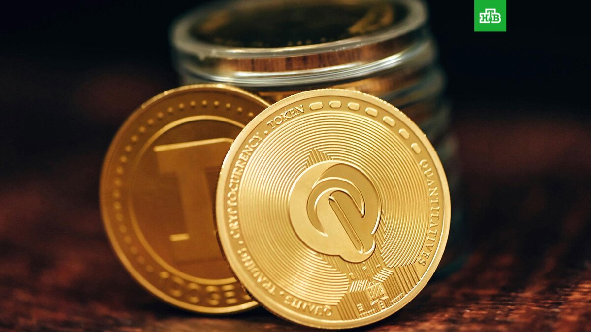    Фото: Traxer / unsplash.com