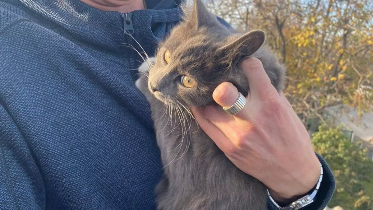     Автор: тг Алексея Одерова Источник: t.me/alekseioderov