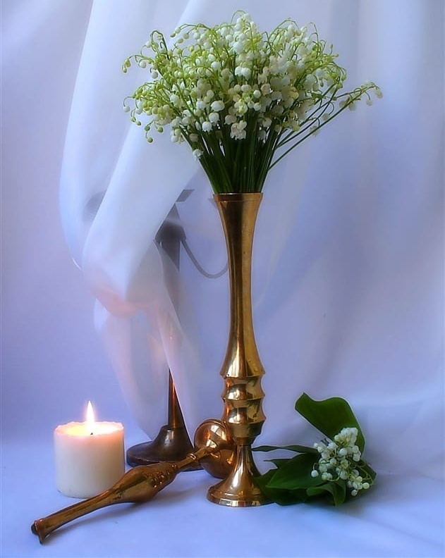 Фото из свободного доступа