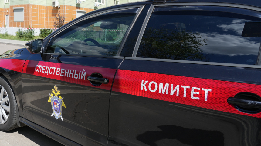    Фото: ИЗВЕСТИЯ/Дмитрий Коротаев