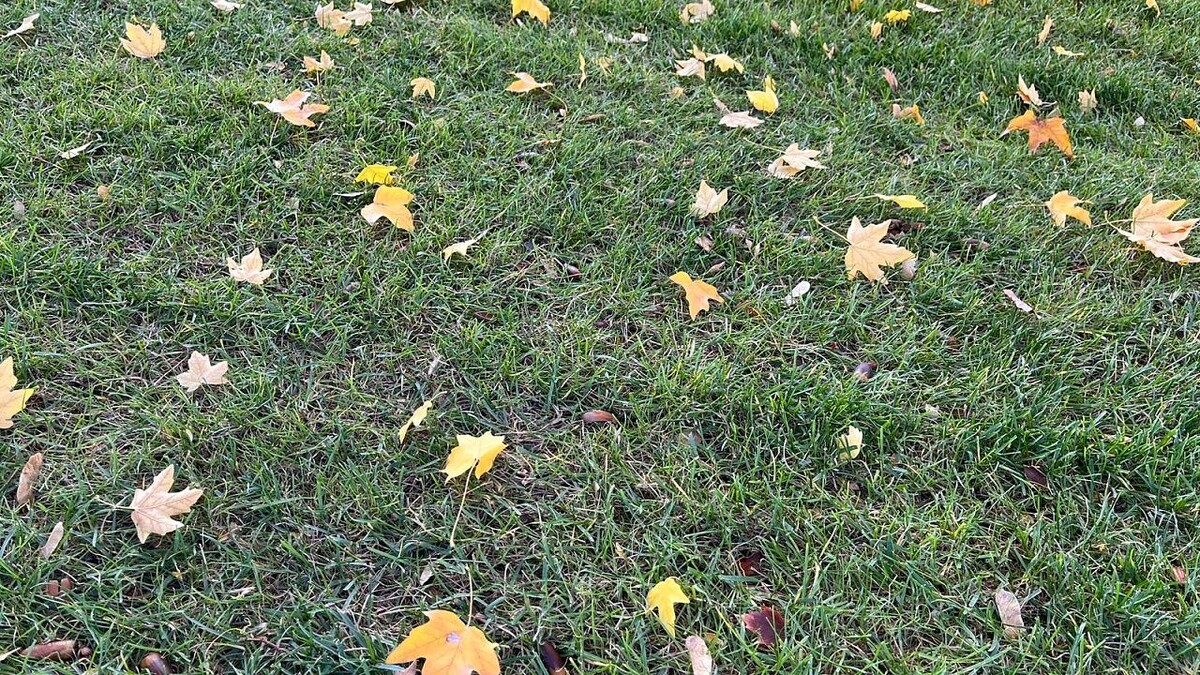    Фото: телеканал «Краснодар»