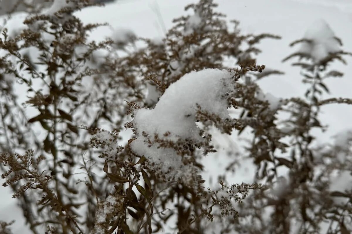 Фото: UfacityNews.ru