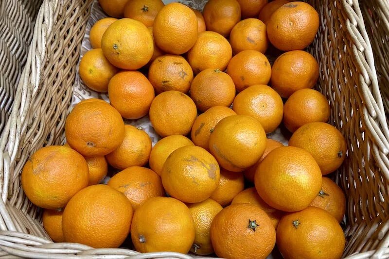 Фото: SterlitamakTime.ru / OOO «Уфатайм»