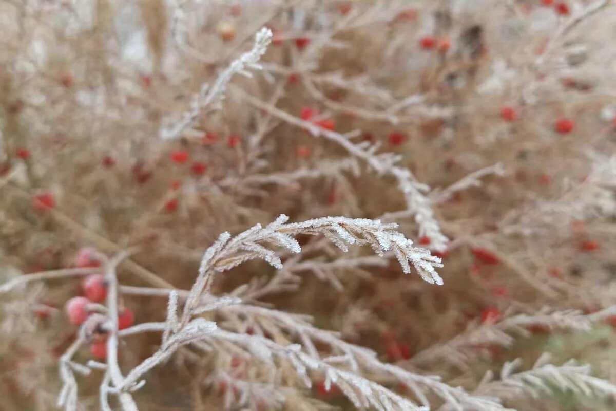 Фото: UfaTime.ru