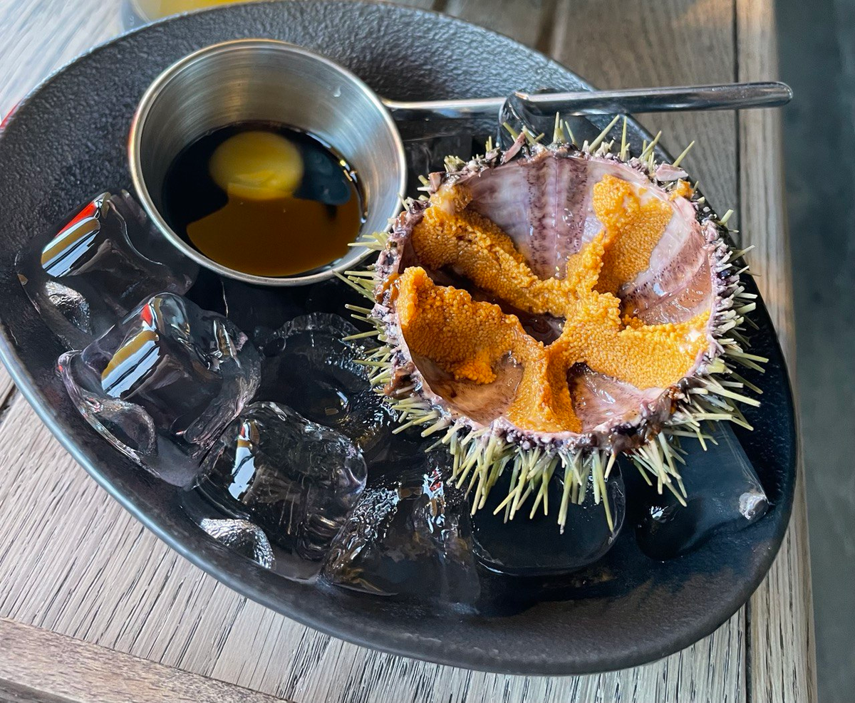 Ничего необычного, просто морской ёж, летнее фото для примера