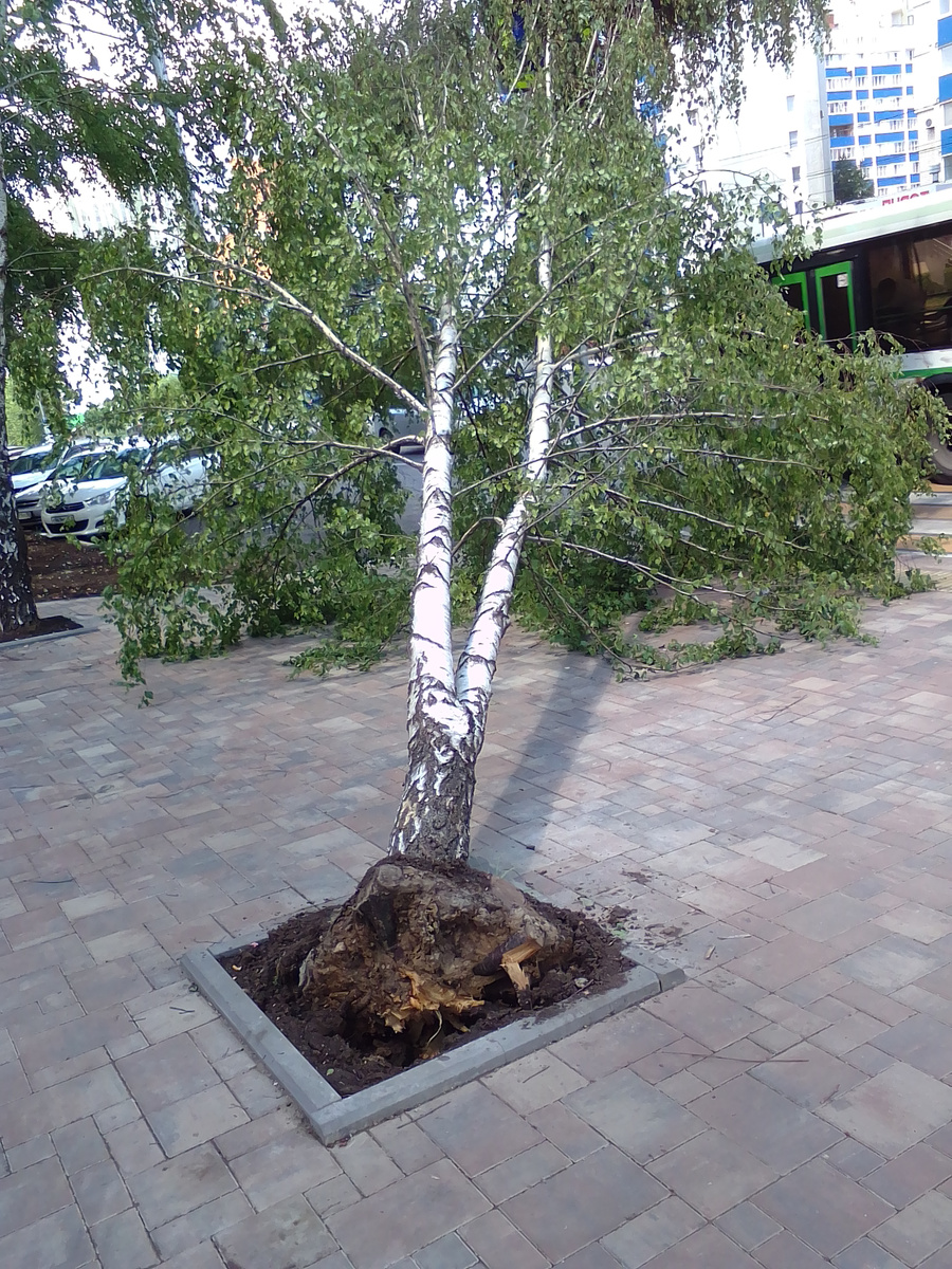 Каждый день крестьянского труда чего-то стоит