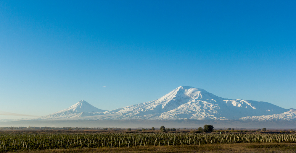 Вид на Арарат с Араратской равнины, Армения (Википедия)