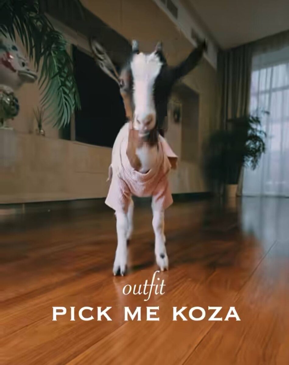 Фото: коза Мими