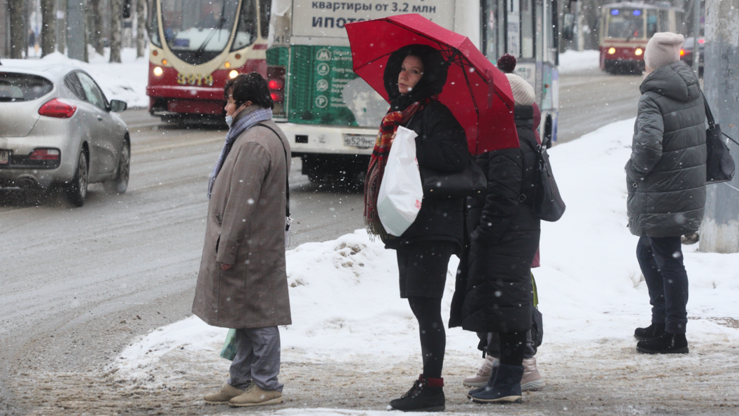    Фото: Замир Усманов/Globallookpress.