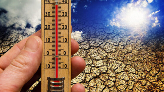    Вильфанд: растет вероятность, что 2024 год будет признан самым теплым за всю историю наблюдений Андрей Галкин