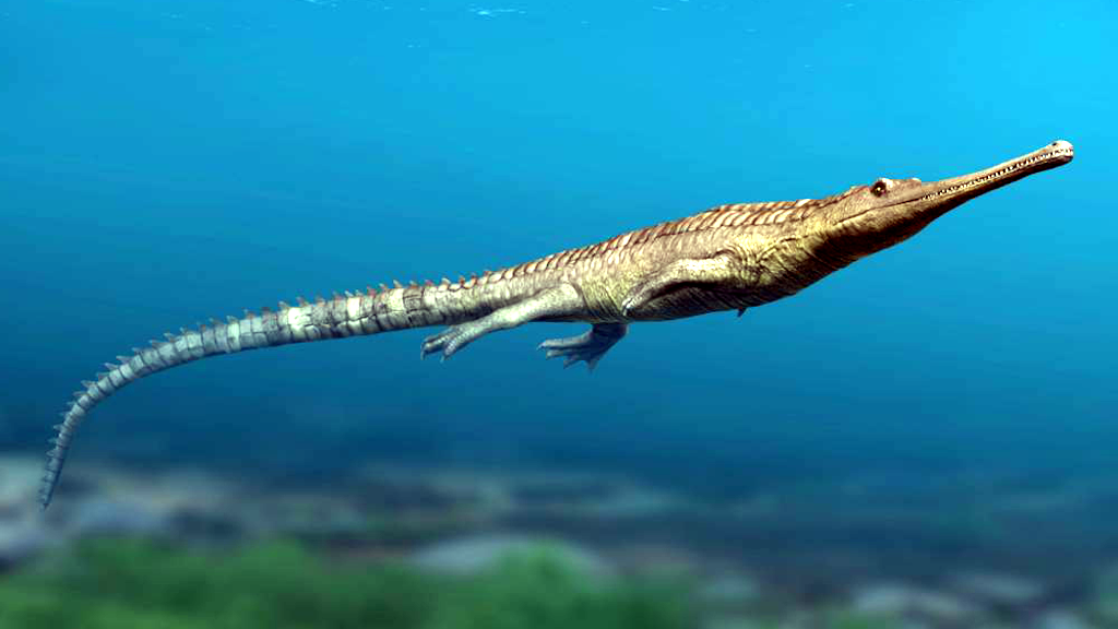 У длинноносых телеозаврид даже остались лапки.