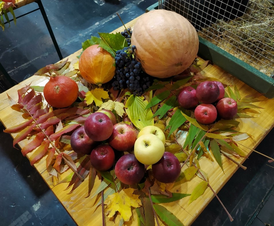    Фото: Victor Lisitsyn/Globallookpress